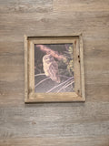 Great Gray Owl- FRAMED 8x10 wood print