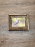 Broad Tailed Hummingbird- FRAMED 5x7 Wood Print