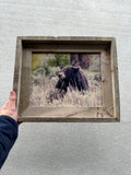 Black Bear in Rain- FRAMED 8x10 wood print