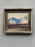 Caribou in Alaska- FRAMED 8x10 wood print