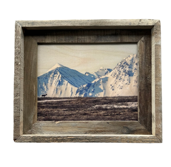 Caribou in Alaska- FRAMED 8x10 wood print