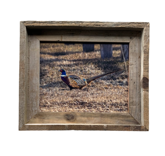 Pheasant- FRAMED 8x10 wood print