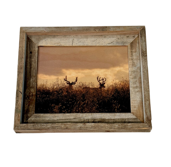 Two Bucks- FRAMED 8x10 wood print