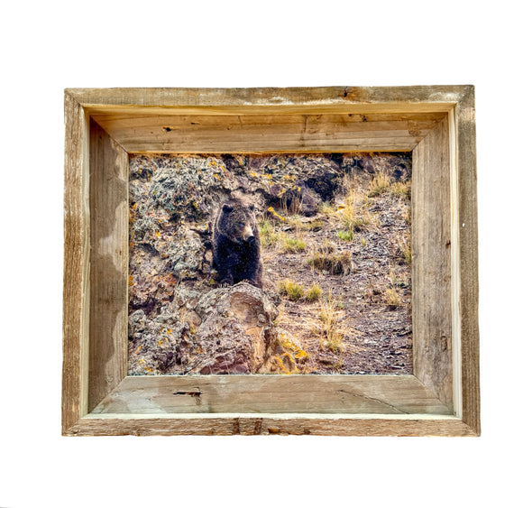 Grizzly Claws- FRAMED 8x10 wood print