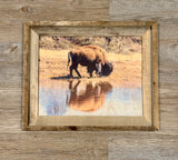 Bison Reflection - FRAMED 11x14 Wood Print