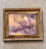 Napping Moose- FRAMED 8x10 wood print