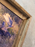 Napping Moose- FRAMED 8x10 wood print