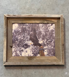 Eagle Take Off- FRAMED 8x10 wood print