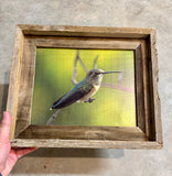 Hummingbird- FRAMED 8x10 wood print