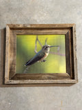 Hummingbird- FRAMED 8x10 wood print