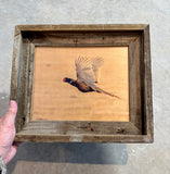 Flying Pheasant- FRAMED 8x10 wood print