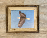 Flying Eagle- FRAMED 8x10 wood print