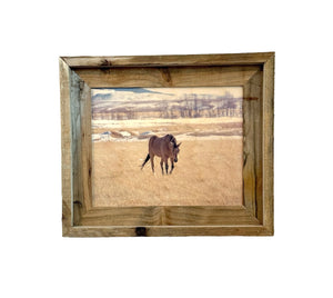 Horse in Montana- FRAMED 8x10 wood print