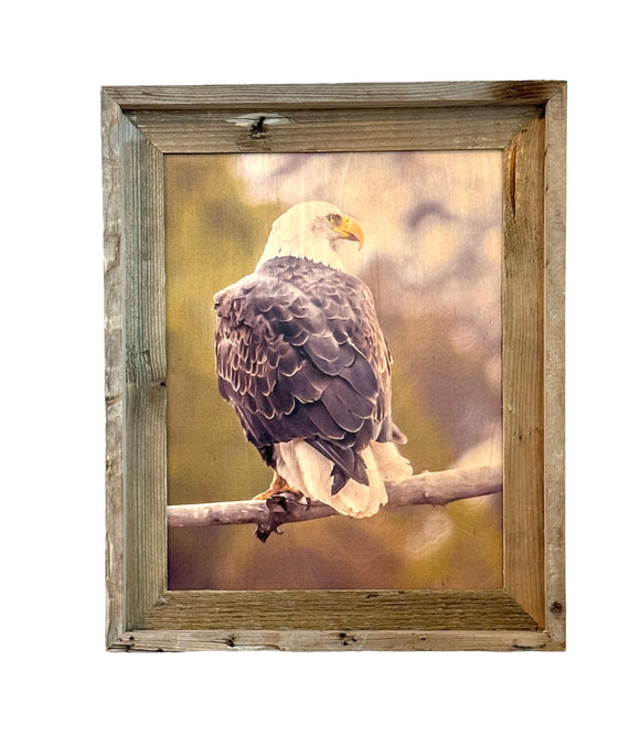 Sunset Eagle- FRAMED 11x14 Wood Print