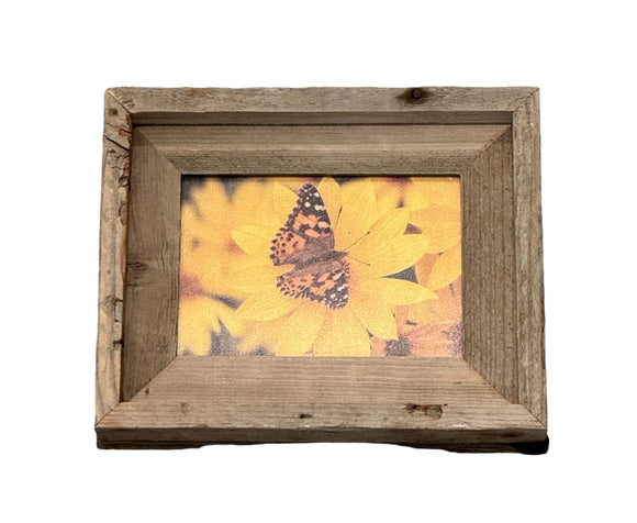 Painted Lady Butterfly- FRAMED 5x7 Wood Print