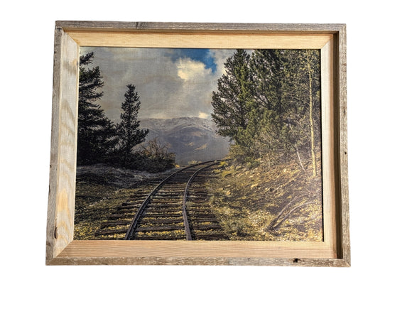 Train Tracks to Nowhere- FRAMED- 16x20 Wood Print