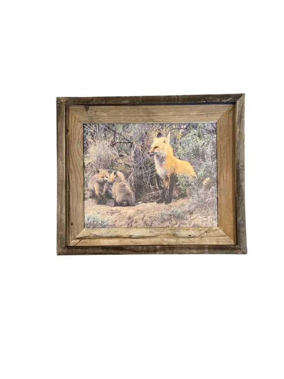 Fox Family- FRAMED 8x10 wood print